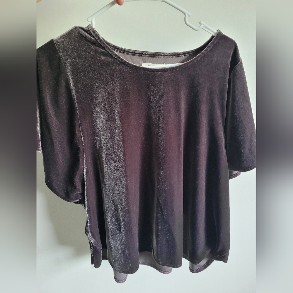 Madewell (j crew) women XL crushed velvet like top